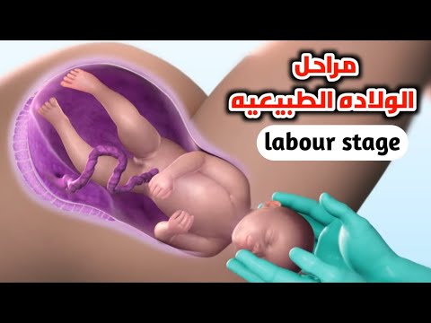 شاهد مراحل الولاده الطبيعية خطوه بخطوه_normal labor stage step by step