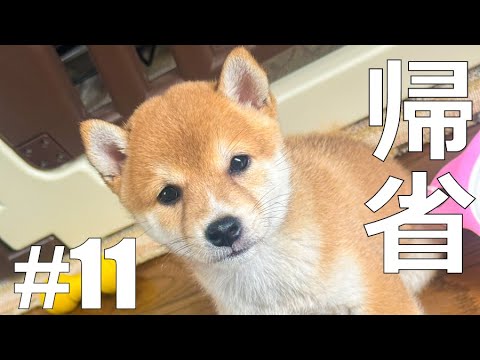 【帰省part11】神戸単身赴任38歳既婚4人暮らしの奈良帰宅【地元】