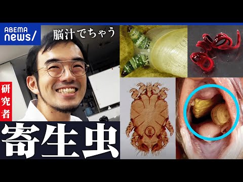 【パラサイトする恐怖？】寄生虫の魅力に寄生された研究者が熱弁！摩訶不思議な生態と生存戦略｜アベプラ