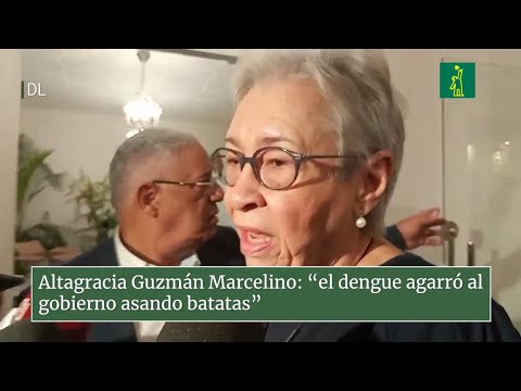 Exministra de Salud: "El dengue agarró al gobierno asando batatas"