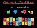 Understanding Chargaff's Rules