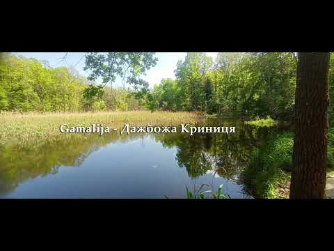 Gamalija - Дажбожа Криниця (2009)