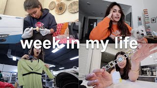 VLOG: rescuing baby skunks & thrift shopping + haul