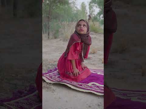 Jaan-o-maal ๐ฑ๐ฑ #shorts