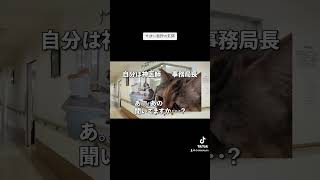 【猫ミーム】やばい医師が田舎の分院に飛ばされた話　#猫ミーム  #猫ミーム日常 #vtuber #保護猫 #猫ミーム #猫のいる暮らし #c