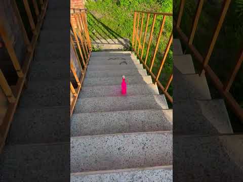 Bottle vs Stairs⚠️🔥 Rolling Bottles till the end ! #shorts