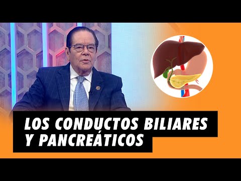 Los conductos biliares y pancreáticos, procedimientos para examinarlos | El Especialista