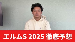【エルムステークス2025】【予想】休み明け注意⁉︎混戦のダート重賞　予想・見解
