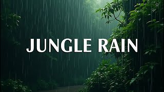 “10 Hours Jungle Rain Sounds for Deep Sleep & Relaxation 🌿 No Loop, No Music”
