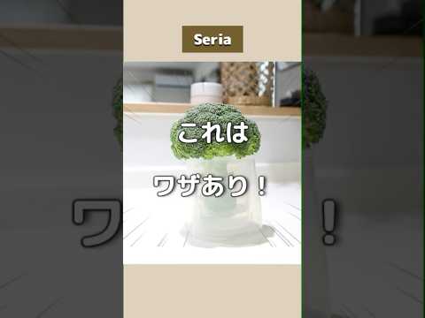 これはワザあり！セリアから出たアイディア商品！ #100均 #100円ショップ #seria #セリア