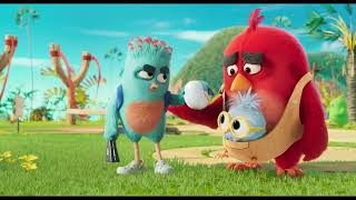 Angry Birds 3 - Tráiler Oficial