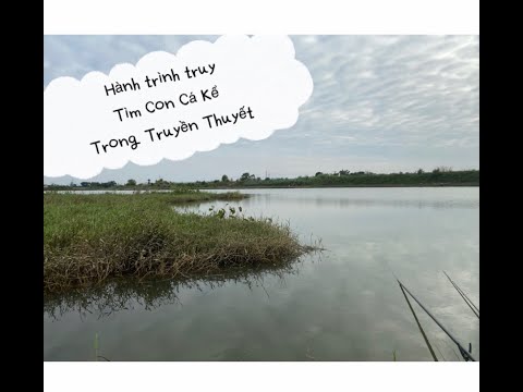 Hành Trình Câu Cá Kể Tự Nhiên Tập 3