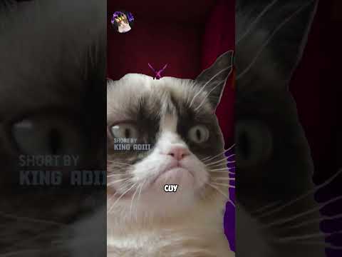 Lu Ketawa, Lu Harus Tidur di Tengah Laut - Tahan Tawa Part 56 #shorts