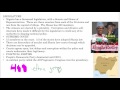 Nigerian Government and Society Overview