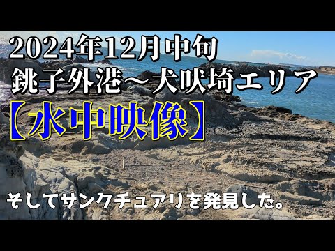 4K【水中映像】2024年 12月中旬 千葉県 銚子外港から犬吠埼の未チェックエリアで魚を探す#銚子外港 #釣り #犬吠埼 #水中映像