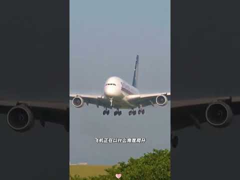 为什么用衣架修理飞机 #客机 #民航 #航空科普 #迎角传感器 #波音777 poster