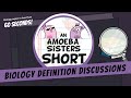 Understanding Non-Competitive Inhibitors and Chromosome Structure