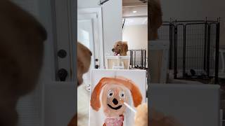 Teddy needs to work on painting skills 😂