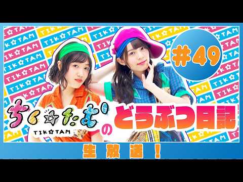 「ちく☆たむのどうぶつ日記 生配信！！」＃49