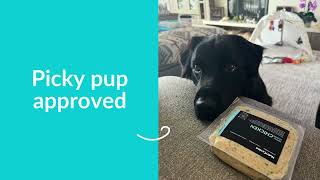 Why choosy dog parents choose NutriCanine