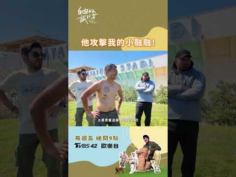 融融的小融融慘遭攻擊……🤪這畫面有合理嗎？？？#自由的旅行者