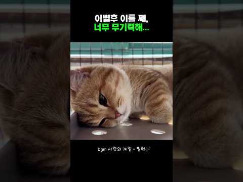 이별 후 이틀째, 너무 무기력해...