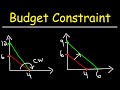 Understanding Budget Constraints and Opportunity Costs