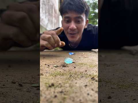 So gentle! The millipede followed the scent of sweet sugar crystals#shortvideo#millipedes