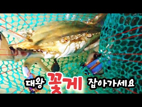 10월 18일 워킹 꽃게 해루질 먼 바다로 가기전에 싹다 잡아야 합니다
