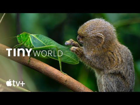 Tiny World — ตัวอย่างภาพยนตร์อย่างเป็นทางการ | Apple TV+