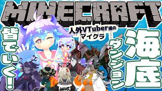 【マイクラ】夏だ！海だ！それぇー！！！(⁎˃ᴗ˂⁎)皆で海底ダンジョンにいくぞー！！！【人外Vtuber鯖】