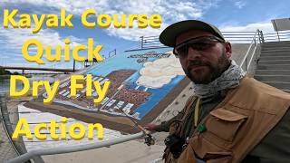 Life and Fly Fishing gotta love it all #flyfishing #dryfly #fishing #nature #troutfishing #fish