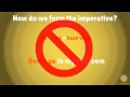 Understanding the Imperative Mood