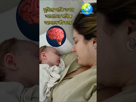 আপনার মস্তিষ্ক কখনো বিশ্রাম নেয় না! 🤯 | Brain's Secret Night Shift! 😴 #Shorts