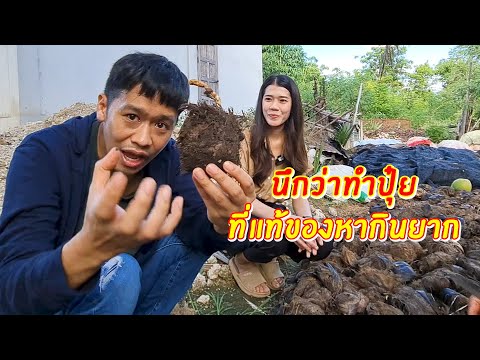 นึกว่าทำปุ๋ย ที่แท้สุดยอดของอร่อยหากินยาก 1 ปีมีครั้ง  | เอิร์ธสดชื่น
