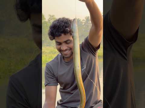 ഒരു മലിഞ്ഞീൻ വേട്ട Part-2 | #shorts #fishing #trending