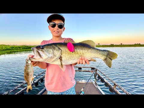Crazy Expensive Baits , Giant Bass and Really Rare Fish in Our Fish Traps