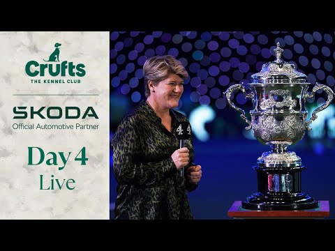 Day 4 LIVE | Crufts 2024