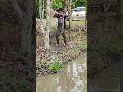 TANGKAP IKAN GUNA JALA IKAN PART 18 of 26 #ShopeeYTDeals #jalaikan #jalaikandisungai #tangkapikan