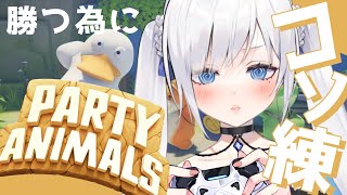 【コソ練！】こんな所で負けてたまるかぁ‼️【#ゆきみなうっ / Re:AcT  】
