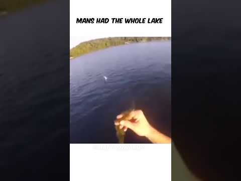 Mans had the whole lake #fyp #funny #comedy #shorts #shortvideos #short #meme #memes #memesdaily