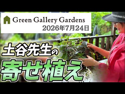 《生配信》2026年7月24日 土谷ますみ先生の寄せ植えをLIVEにてご紹介！八王子本店からお届けします！