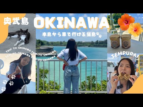 【沖縄】猫とグルメと沖縄の風。奥武島で心ほどける旅してきた🐱🌺【大人女子旅】