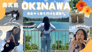【沖縄】猫とグルメと沖縄の風。奥武島で心ほどける旅してきた🐱🌺【大人女子旅】