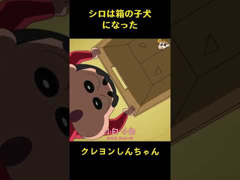 シロは箱の子犬になった #music #クレヨンしんちゃん #コントチャンネル #funny #アニメ #面白い #animation #雑学 #ショート
