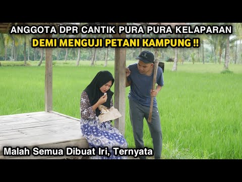 ANGGOTA DPR CANTIK PURA PURA KELAPARAN UNTUK MENGUJI PETANI KAMPUNG ! TAK DISANGKA SEMUA IRI