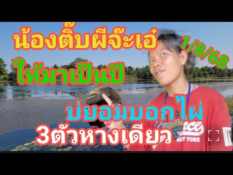 น้องติ๊บผีจ๊ะเอ๋​ให้มาเป็นปี​บ่ยอมบอกไผ่หลุดปากแล้ว3ตัวหางเดียว