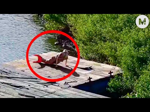 A Sereia da Amazônia que até hoje intriga a internet