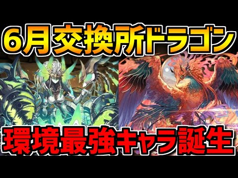 レイランバードが最強！確保必須人権キャラに&メタルスピカ！6月ドラゴン性能解説！【パズドラ】