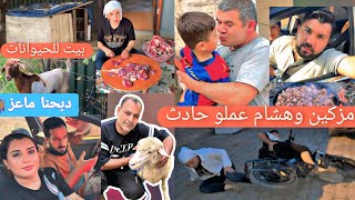 دبحنا عنزة مزكين وأكلناها🐐رحنا على حارتنا القديمة جبنا ورودنا//عملنا بيت للعنزات🐐//هشام ومزكين وقعو